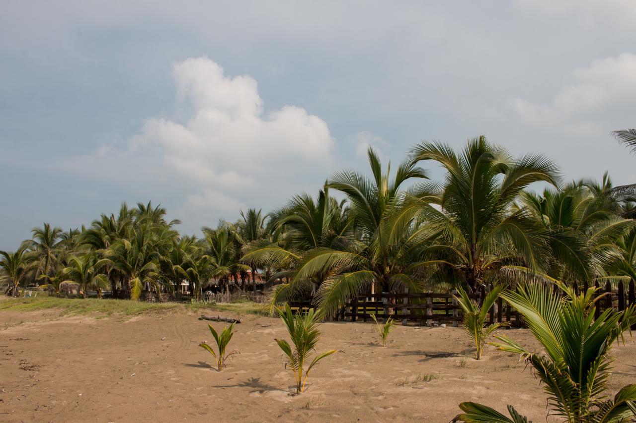 Hotel Villas Punta Blanca Zihuatanejo Dış mekan fotoğraf